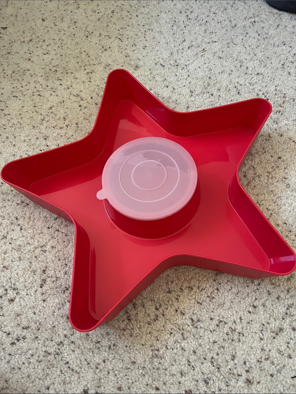 Serving Tray with Lid - Home Kitchen